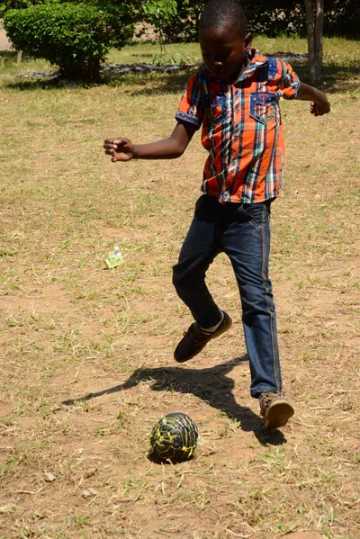 DSC_9045 (Large).JPG